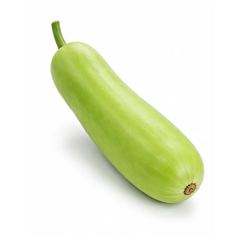 Bottle Gourd