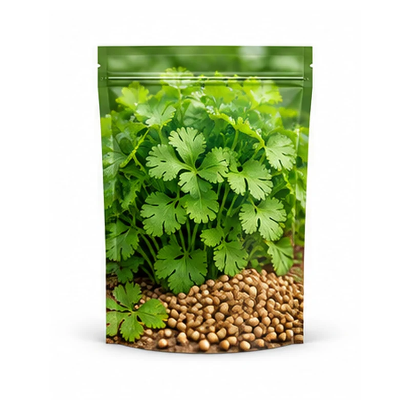 Coriander Seeds Garden Pack